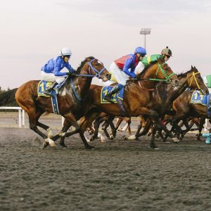 6 Конно-спортивный праздник
