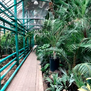 __0023_Ботанический-сад-ЮФУ
