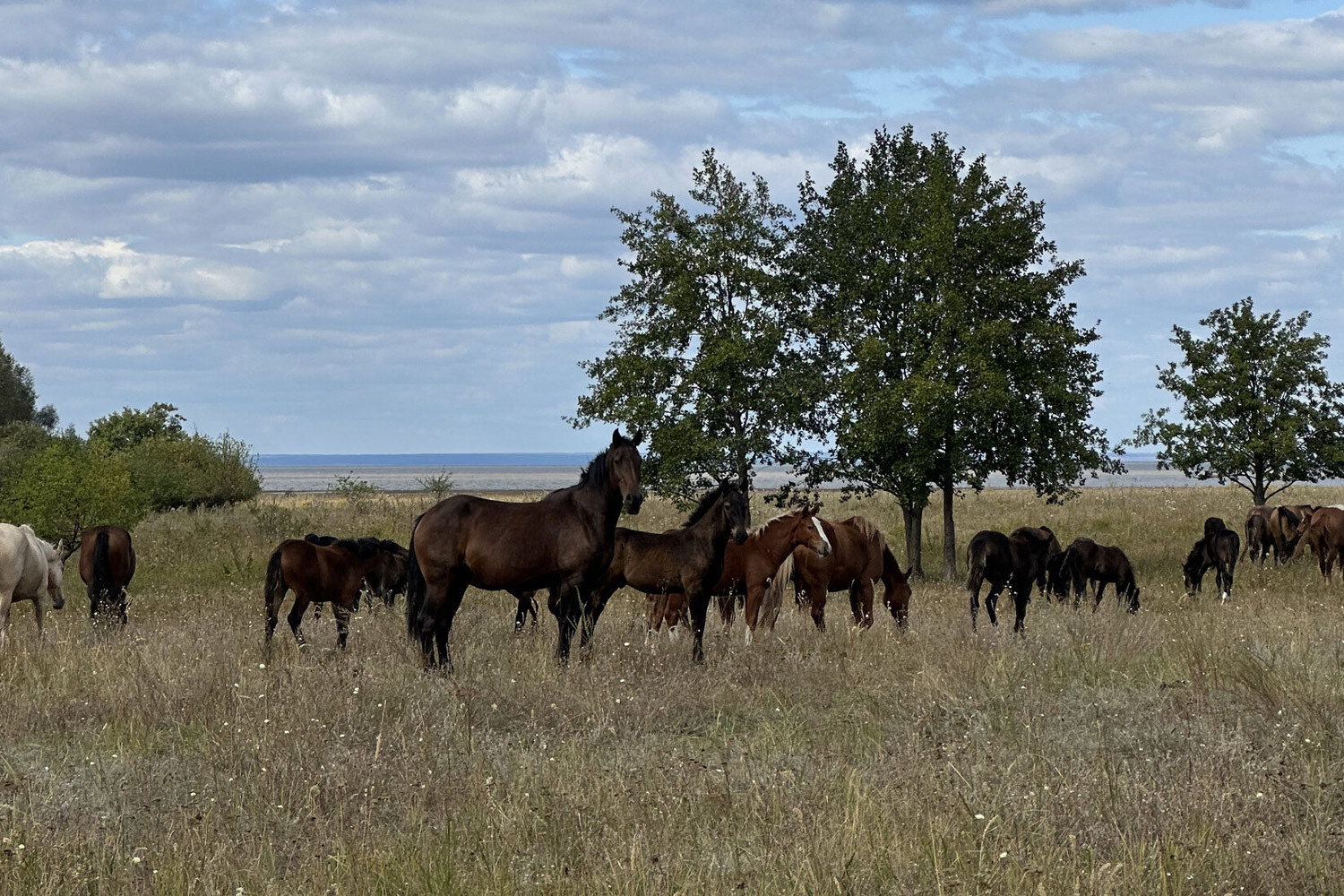 2 Маршрут-в-окрестностях-села-Лебедино-в-Алексеевском-районе