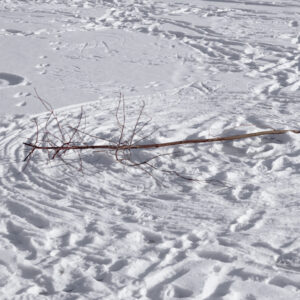 27 Выставка «Комната ожиданий»