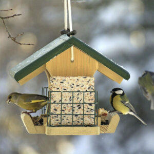 34 Мастер-класс по изготовлению кормушек для птиц