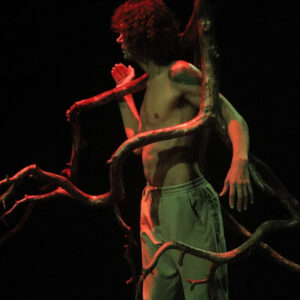 ___0000s_0019_Вечер современного танца «Очевидная жертва ROOTS»