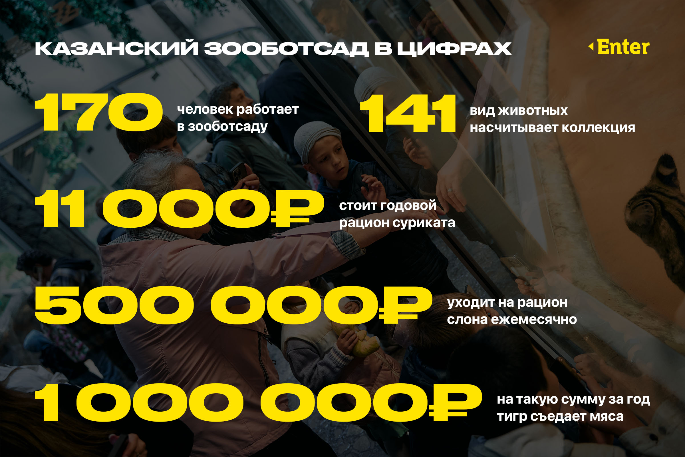 Статистика