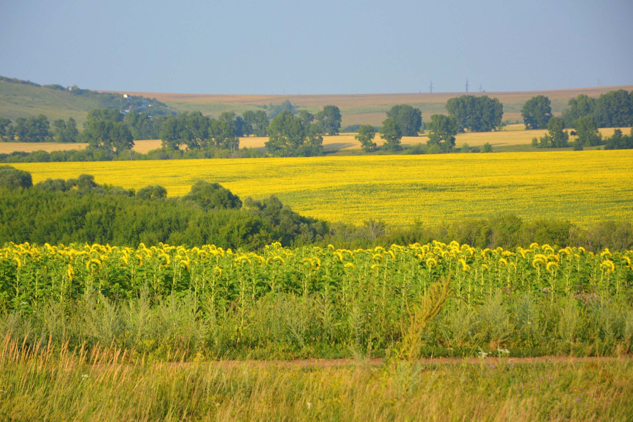 15 Прости3